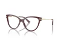 Jimmy Choo Naočale 3001B 5018