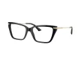 Jimmy Choo Naočale 3002B 5000