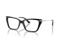 Jimmy Choo Naočale 3002B 5000
