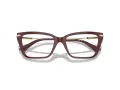 Jimmy Choo Naočale 3002B 5018