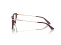 Jimmy Choo Naočale 3002B 5018