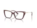 Jimmy Choo Naočale 3002B 5018
