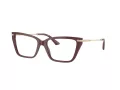 Jimmy Choo Naočale 3002B 5018