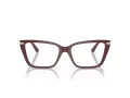 Jimmy Choo Naočale 3002B 5018