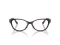 Jimmy Choo Naočale 3003BU 5002