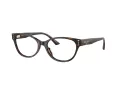 Jimmy Choo Naočale 3003BU 5002