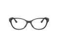 Jimmy Choo Naočale 3003BU 5016