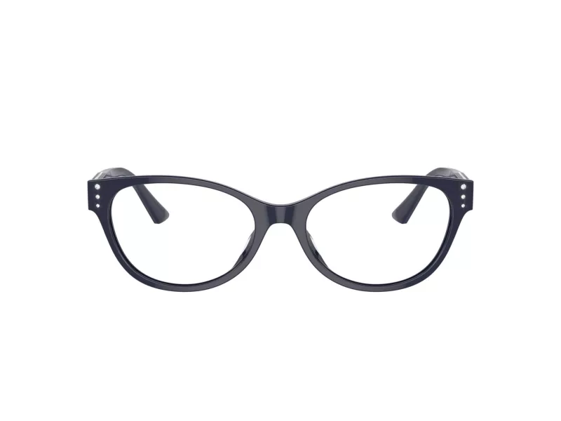 Jimmy Choo Naočale 3003BU 5016