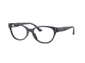 Jimmy Choo Naočale 3003BU 5016