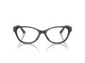 Jimmy Choo Naočale 3003BU 5016