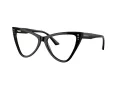 Jimmy Choo Naočale 3004B 5000