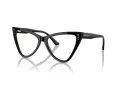 Jimmy Choo Naočale 3004B 5000
