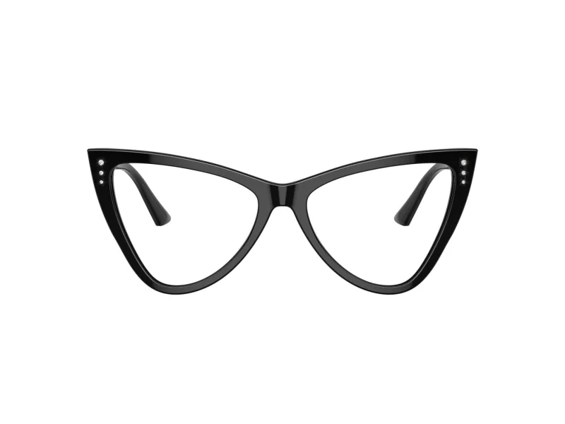 Jimmy Choo Naočale 3004B 5000
