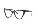 Jimmy Choo Naočale 3004B 5002