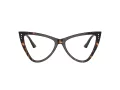 Jimmy Choo Naočale 3004B 5002