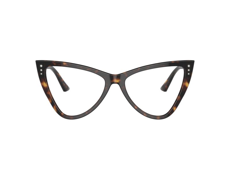 Jimmy Choo Naočale JC 3004B 5002
