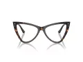 Jimmy Choo Naočale 3004B 5002