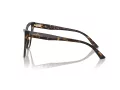 Jimmy Choo Naočale 3004B 5002