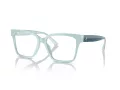 Jimmy Choo Naočale JC 3006U 5009
