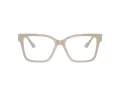 Jimmy Choo Naočale 3006U 5033