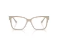 Jimmy Choo Naočale 3006U 5033