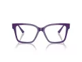Jimmy Choo Naočale JC 3006U 5050