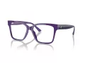 Jimmy Choo Naočale JC 3006U 5050