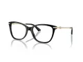 Jimmy Choo Naočale 3007HB 5000
