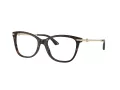 Jimmy Choo Naočale 3007HB 5002