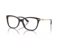 Jimmy Choo Naočale 3007HB 5002