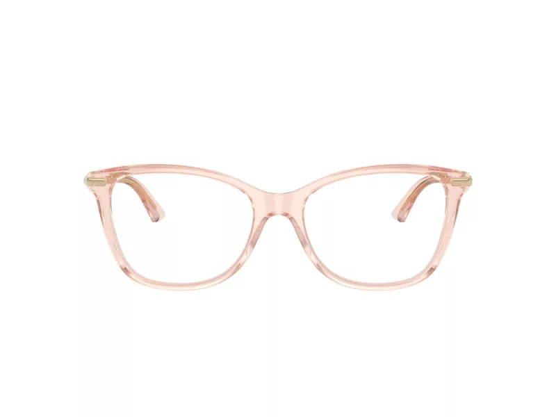Jimmy Choo Naočale 3007HB 5034