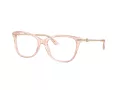 Jimmy Choo Naočale 3007HB 5034
