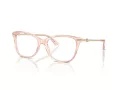 Jimmy Choo Naočale 3007HB 5034