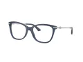 Jimmy Choo Naočale 3007HB 5035