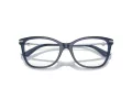 Jimmy Choo Naočale 3007HB 5035