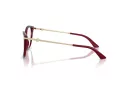 Jimmy Choo Naočale 3007HB 5062