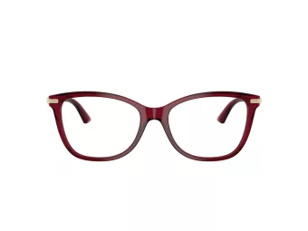 Jimmy Choo Naočale 3007HB 5062