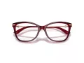 Jimmy Choo Naočale 3007HB 5062