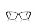 Jimmy Choo Naočale 3008 5002
