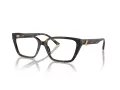 Jimmy Choo Naočale 3008 5002