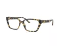 Jimmy Choo Naočale JC 3008 5004