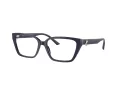 Jimmy Choo Naočale 3008 5016
