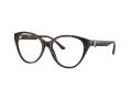 Jimmy Choo Naočale JC 3009 5002