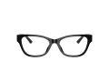Jimmy Choo Naočale JC 3010U 5017