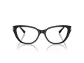 Jimmy Choo Naočale JC 3011 5000
