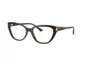 Jimmy Choo Naočale 3011 5002