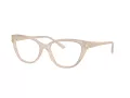 Jimmy Choo Naočale 3011 5025