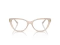 Jimmy Choo Naočale 3011 5025