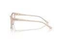 Jimmy Choo Naočale 3011 5025
