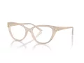 Jimmy Choo Naočale 3011 5025